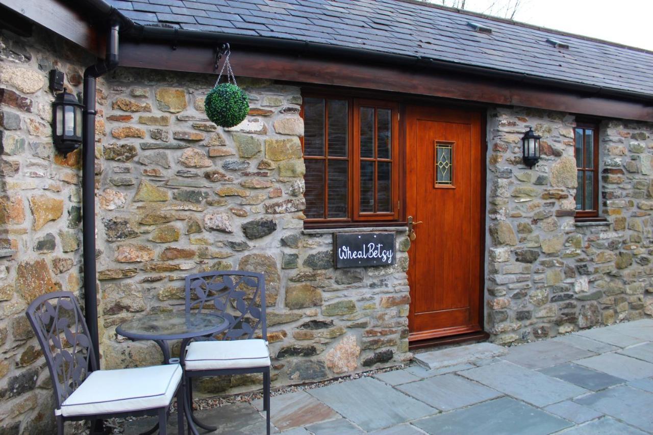 The Mary Tavy Inn Marytavy ภายนอก รูปภาพ